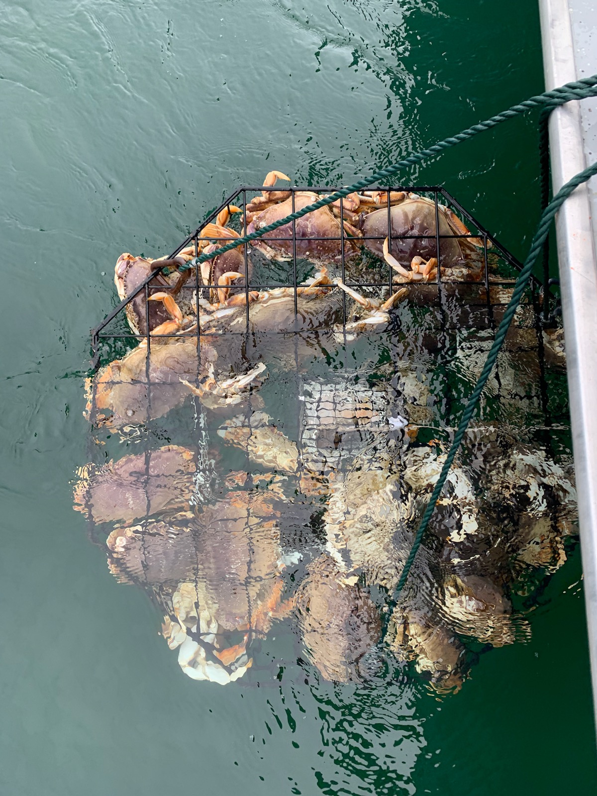 Crabbing fishing charter — Pacific Northwest